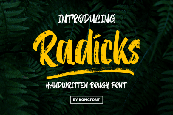 Radicks: A Romantic Display Font for Editorial Design