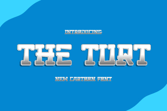 The Turt Font Review